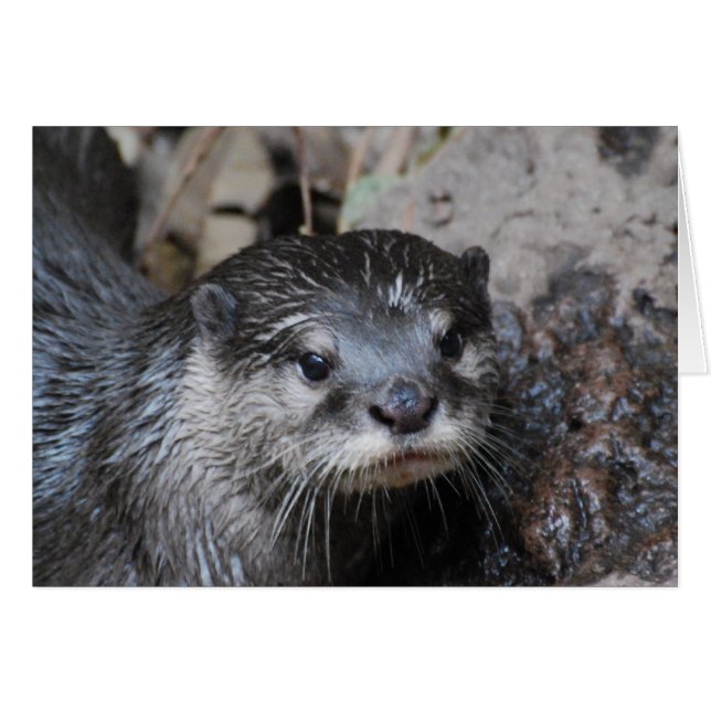 Customise Product (Front Horizontal)