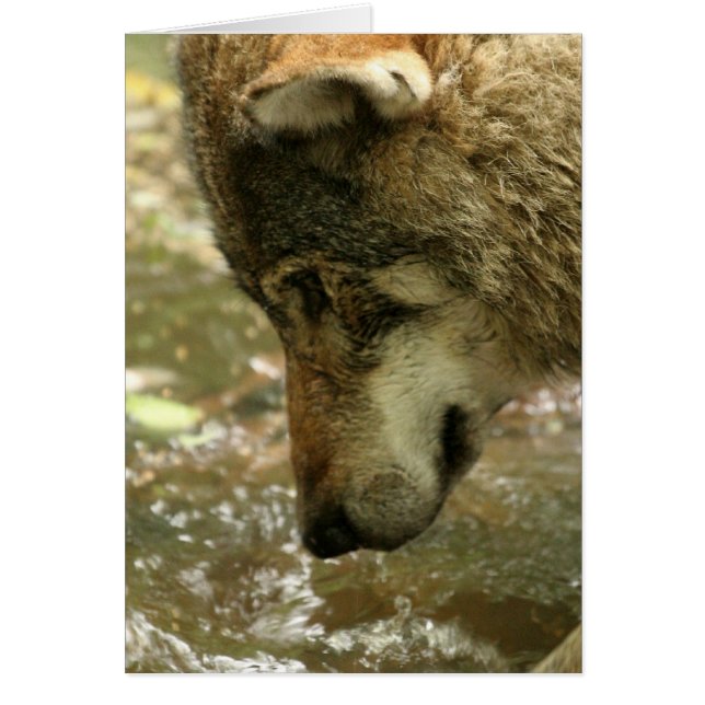 Customise Product (Front)