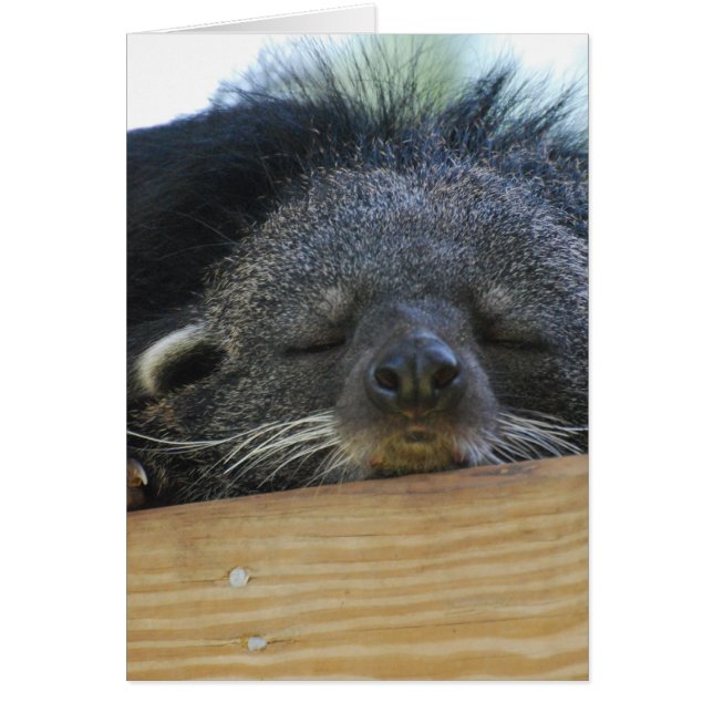 Customise Product (Front)