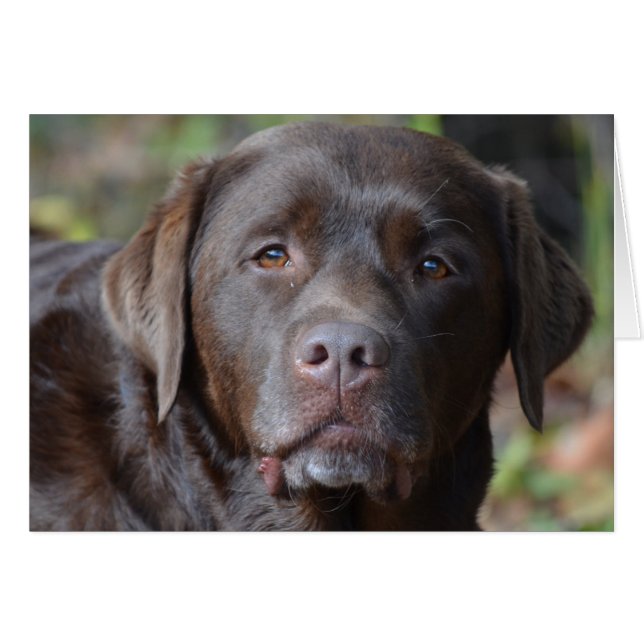 Customise Product (Front Horizontal)