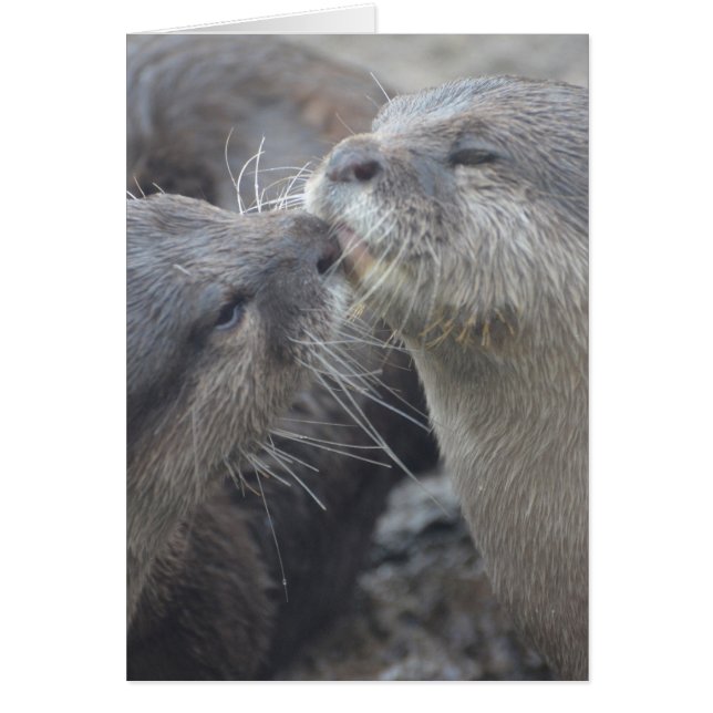 Customise Product (Front)