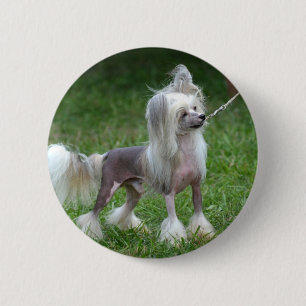 Customise Product 6 Cm Round Badge