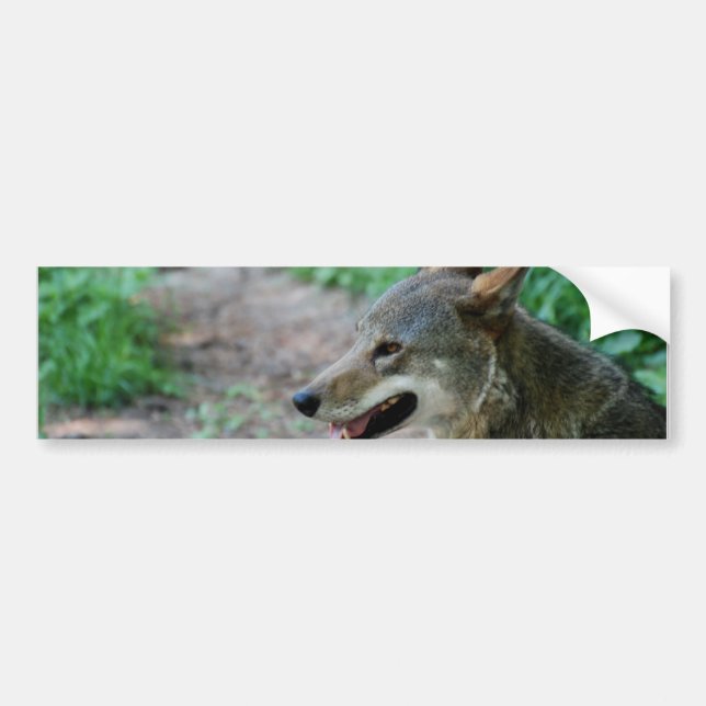 Customise Product Bumper Sticker (Front)