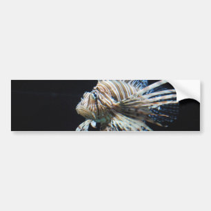 Customise Product Bumper Sticker
