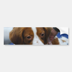Customise Product Bumper Sticker