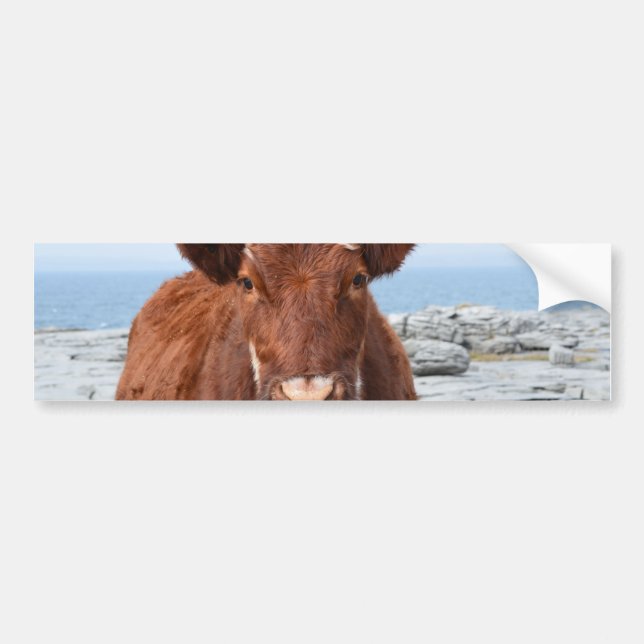 Customise Product Bumper Sticker (Front)