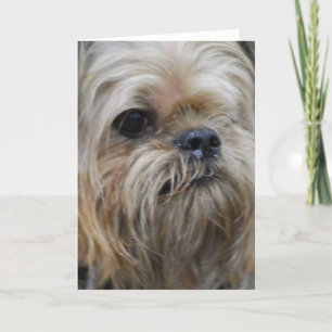 Customise Product Card