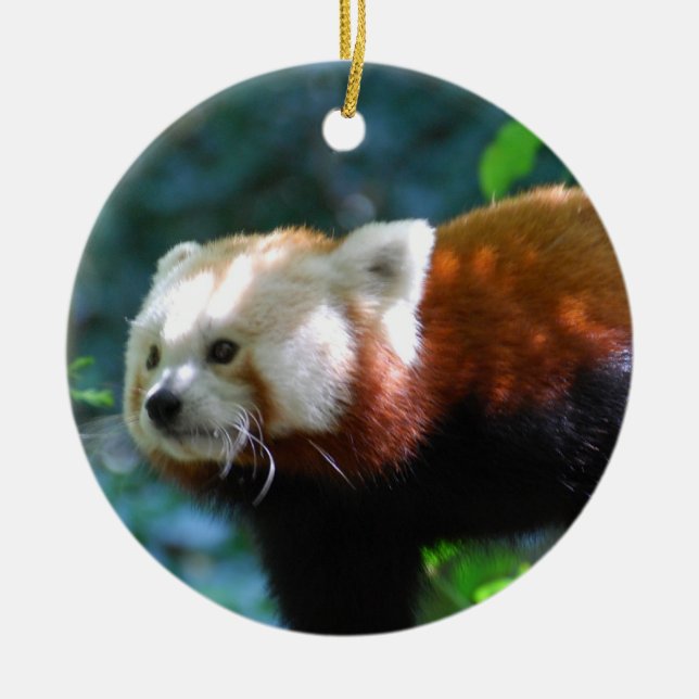 Customise Product Ceramic Ornament (Front)