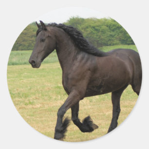 Customise Product Classic Round Sticker