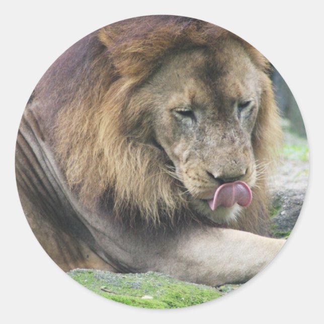 Customise Product Classic Round Sticker (Front)