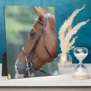 Customise Product - Customised Plaque