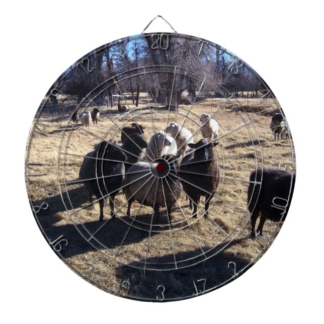 Customise Product Dartboard (Front)