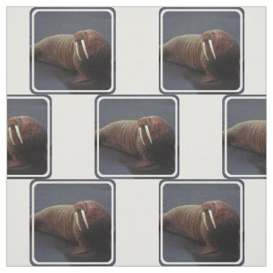 Customise Product Fabric
