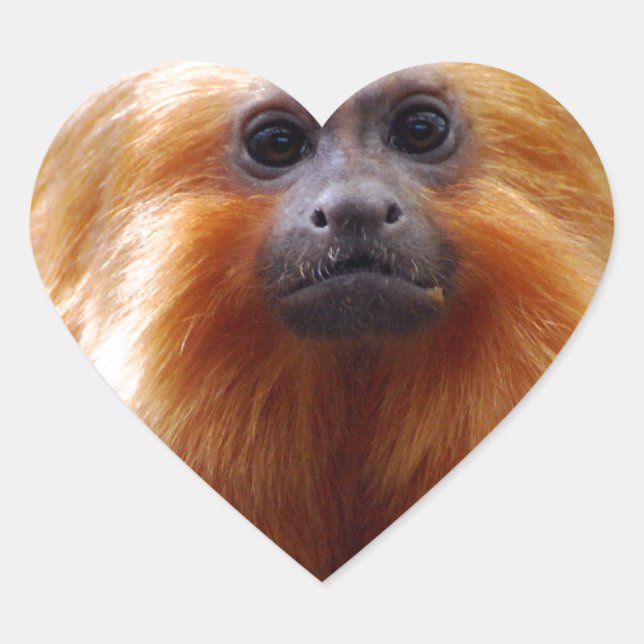 Customise Product Heart Sticker (Front)