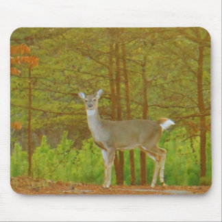 Customise Product Mouse Pad