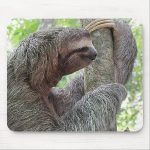 Customise Product Mouse Pad