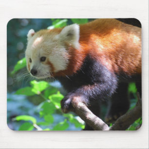 Customise Product Mouse Pad