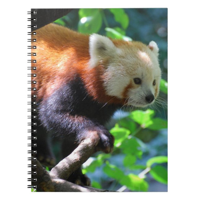 Customise Product Notebook (Front)