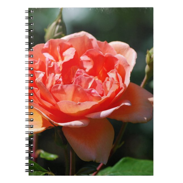 Customise Product Notebook (Front)
