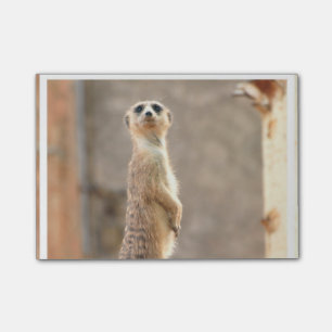 Customise Product Post-it Notes