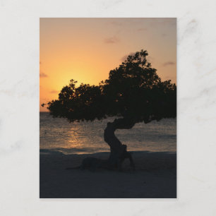 Customise Product Postcard