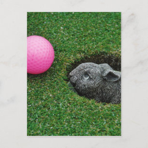 Customise Product Postcard