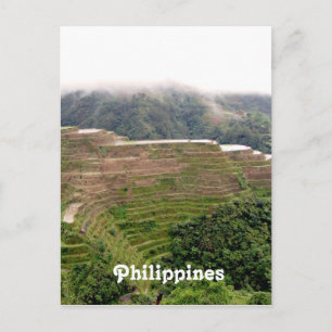 Customise Product Postcard