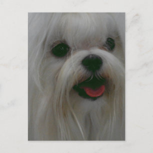 Customise Product Postcard