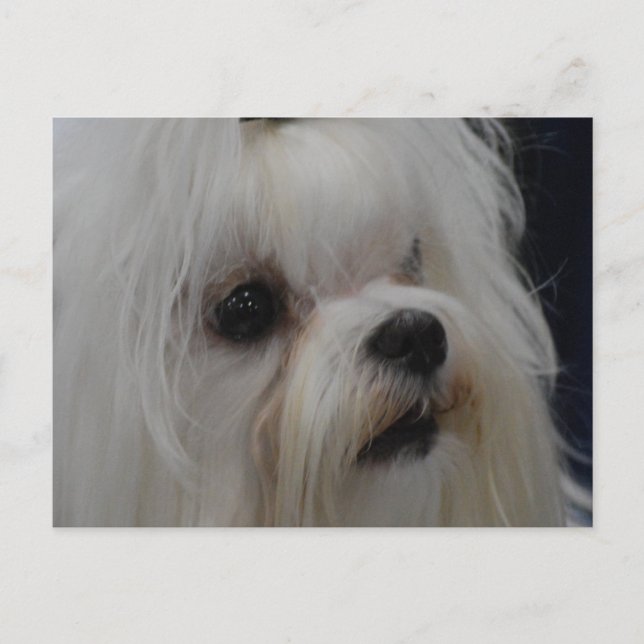 Customise Product Postcard (Front)