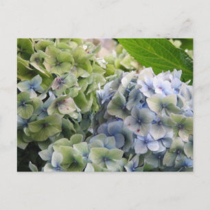 Customise Product Postcard