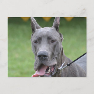 Customise Product Postcard