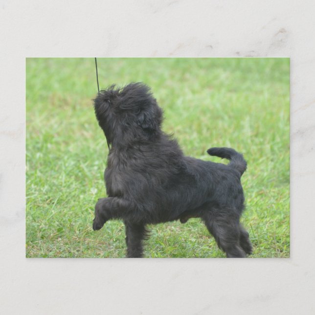 Customise Product Postcard (Front)