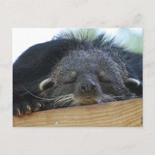 Customise Product Postcard (Front)