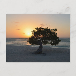 Customise Product Postcard