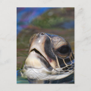 Customise Product Postcard