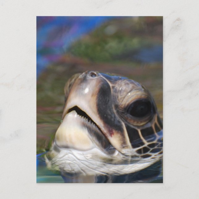 Customise Product Postcard (Front)