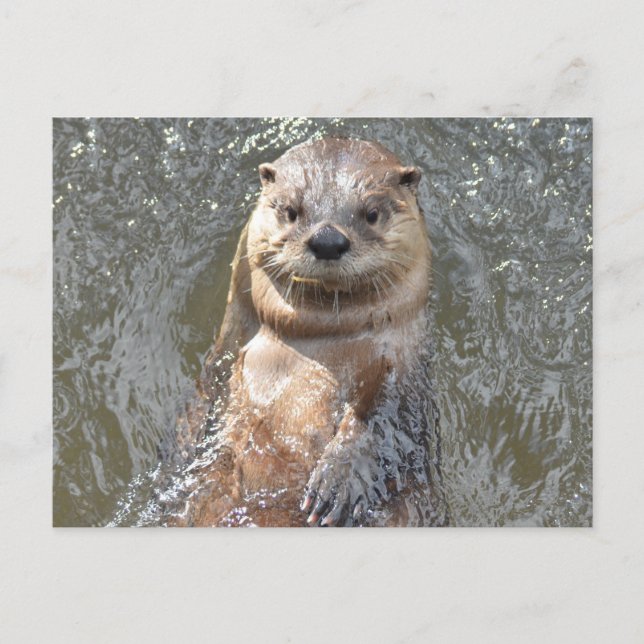 Customise Product Postcard (Front)