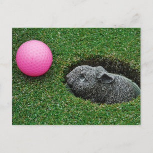 Customise Product Postcard