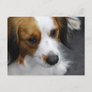 Customise Product Postcard