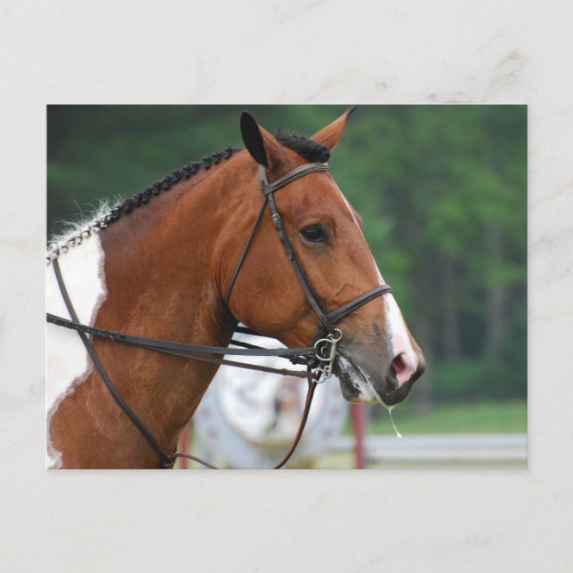 Customise Product Postcard (Front)