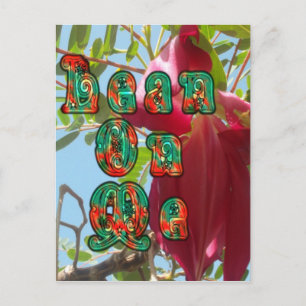 Customise Product Postcard