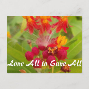 Customise Product Postcard