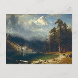 Customise Product Postcard