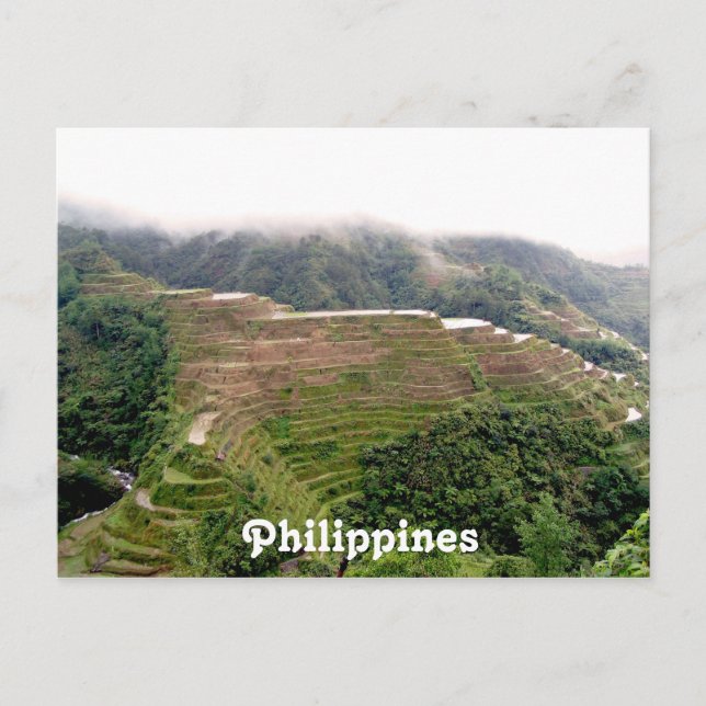 Customise Product Postcard (Front)