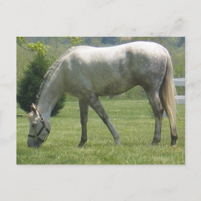 Customise Product Postcard (Front)