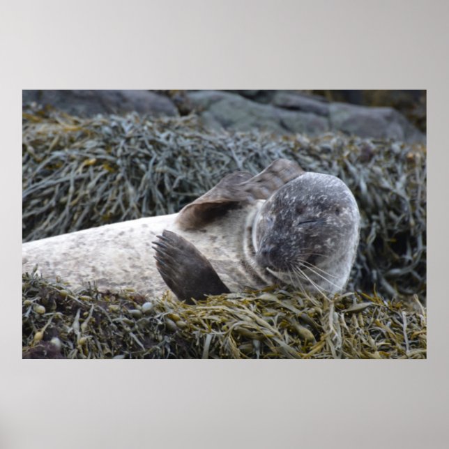 Customise Product Poster (Front)