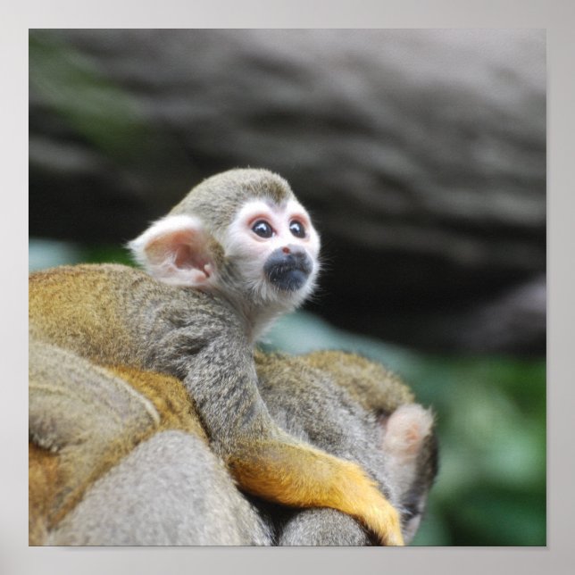 Customise Product Poster (Front)