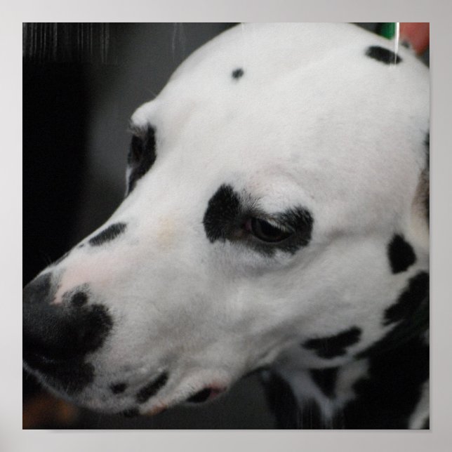 Customise Product Poster (Front)