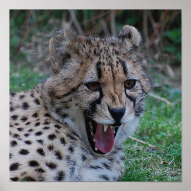 Customise Product Poster (Front)