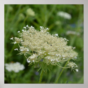 Customise Product Poster